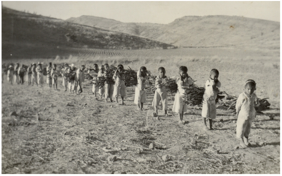 Imagen 7. Internos de la misión acarreando leña