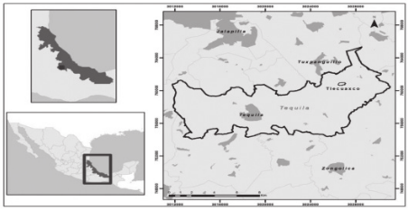 Mapa 1. Ubicación geográfica de Tlecuaxco en la zona centro de Veracruz con cercanía al golfo de México