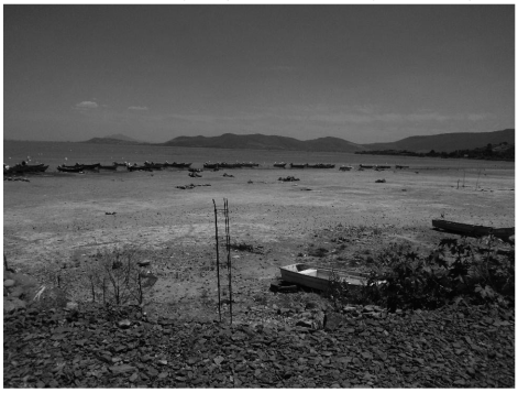 Reducción del espejo de agua frente a Petatán, Cojumatlán de Régules